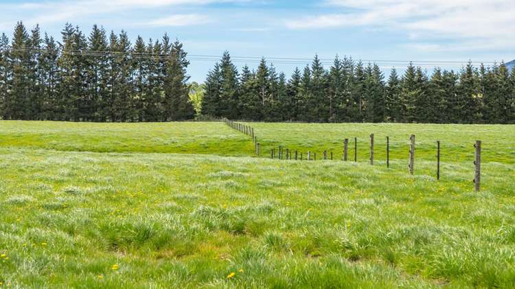 163 Woodbank Road Hanmer Springs_18