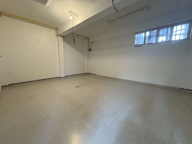 161-167 Apirana Avenue St Johns_4