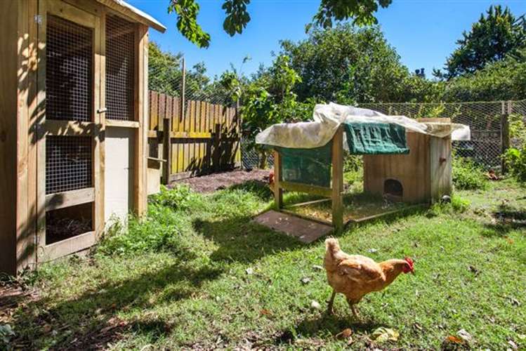 64 Waioeka Road Opotiki Coastal_13