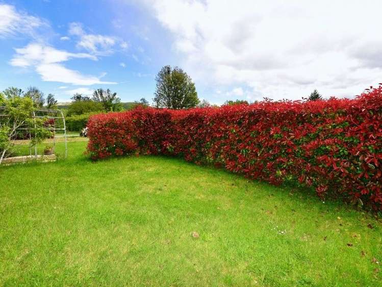 324 Whitecliffs Road Whitecliffs_5