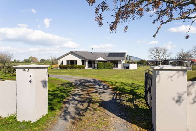 317B Inglefield Street Pirongia_2