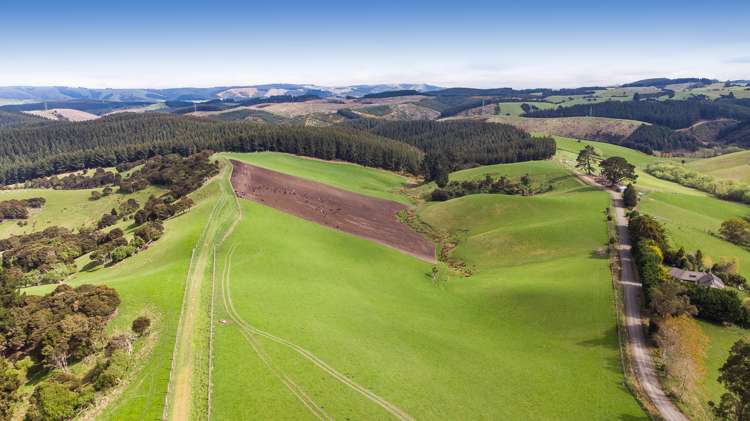 1087 Table Hill Road Milton_15