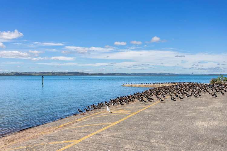 19 Omana Avenue Shelly Beach_8