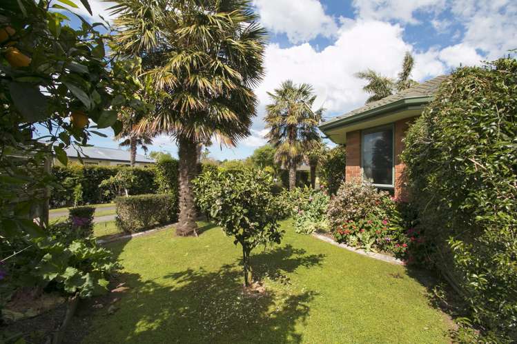 22a Wills Road Katikati_7