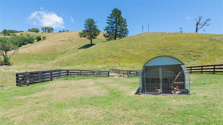 201 Forest Road Oruanui_20