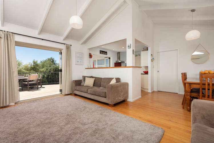 31 Campbell Road Mount Maunganui_9