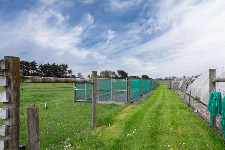 78 East Road Ascot_36