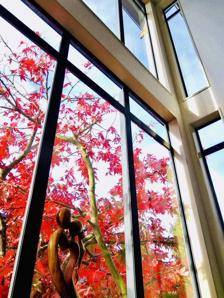 644 Mount Eden Road Mount Eden_16