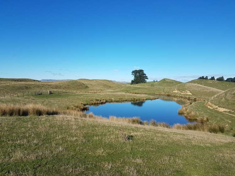 76064 State Highway 2 Rangitikei Surrounds_7
