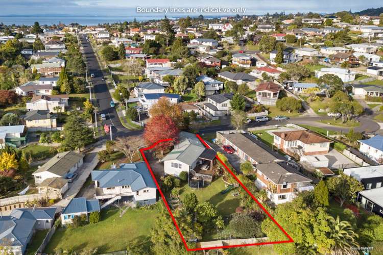 39 Mason Street New Lynn_0