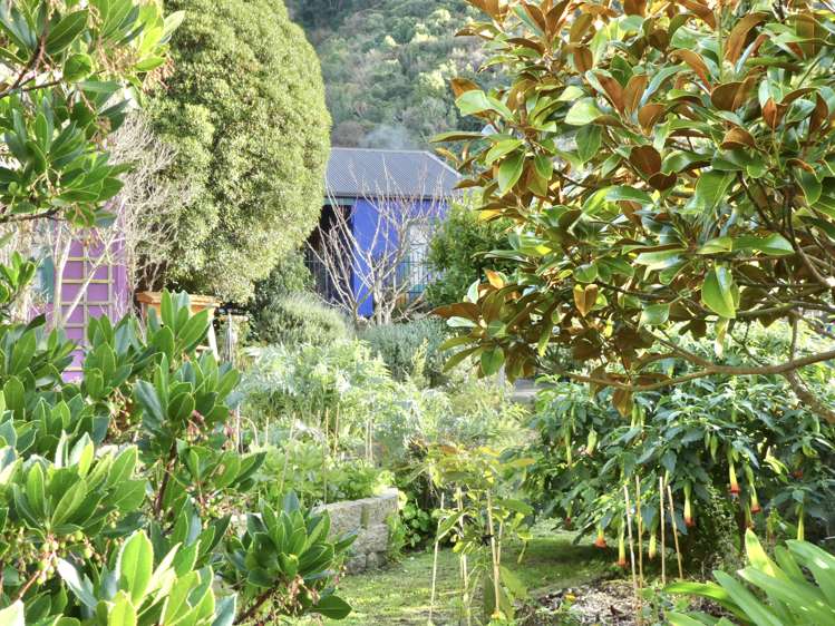 3 Kaka Road Saint Leonards_16