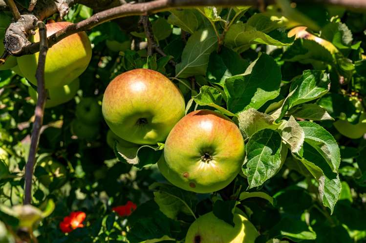 32 Kingsford Drive Stoke_22