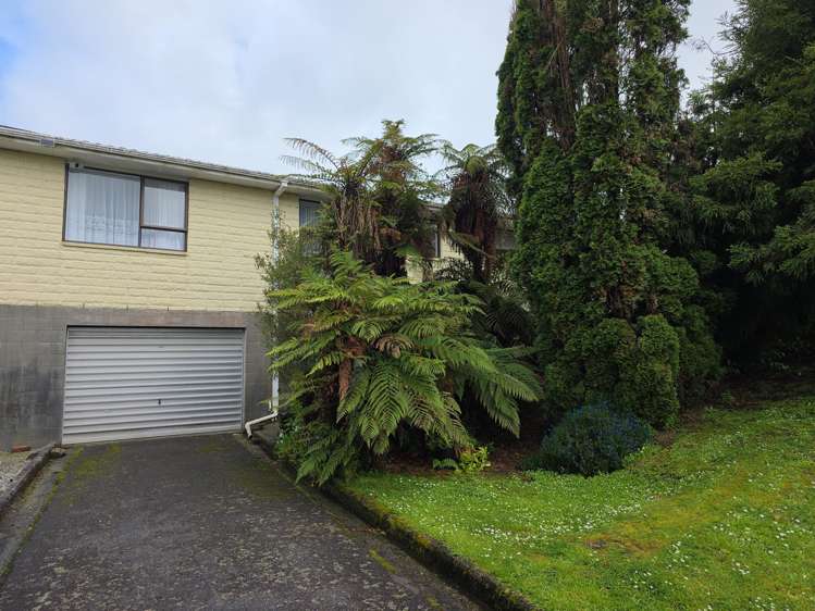 17 Pine Tree Road Kaniere_15