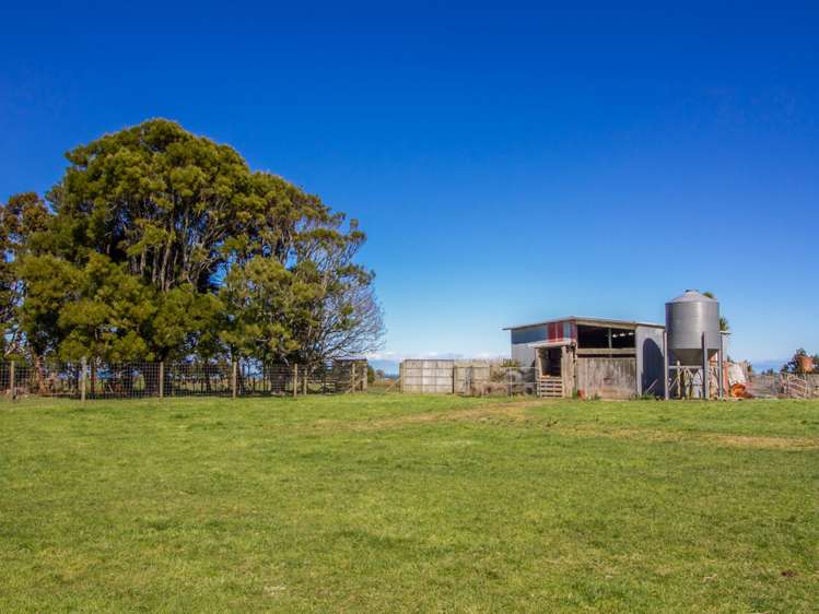 438 Omahina Road Waverley_12