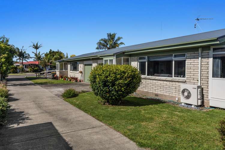 22b Bracken Street Whakatane_12