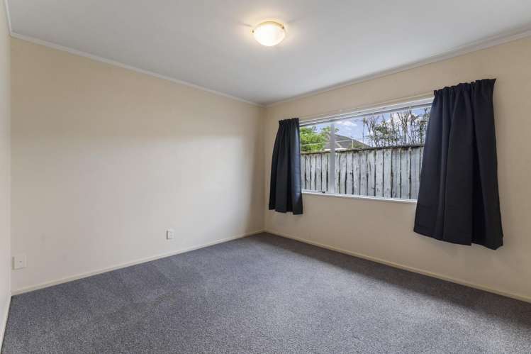 17A Carlisle Street Levin_15