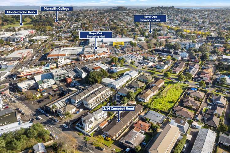 3/14 Campbell Road Royal Oak_10