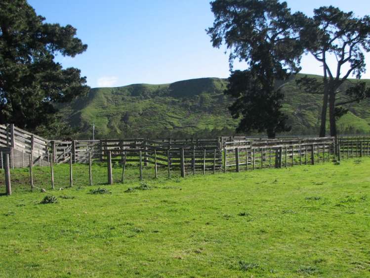 168c Hinakura Road Martinborough_8