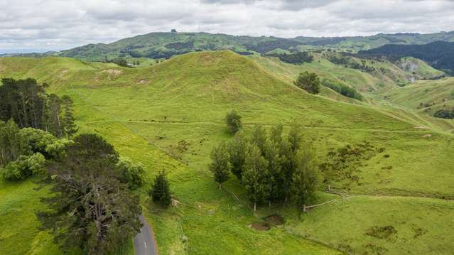 20ha,/664B Kairakau Road Elsthorpe_4