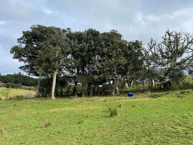 259 Kaipo Flats Road Onewhero_1