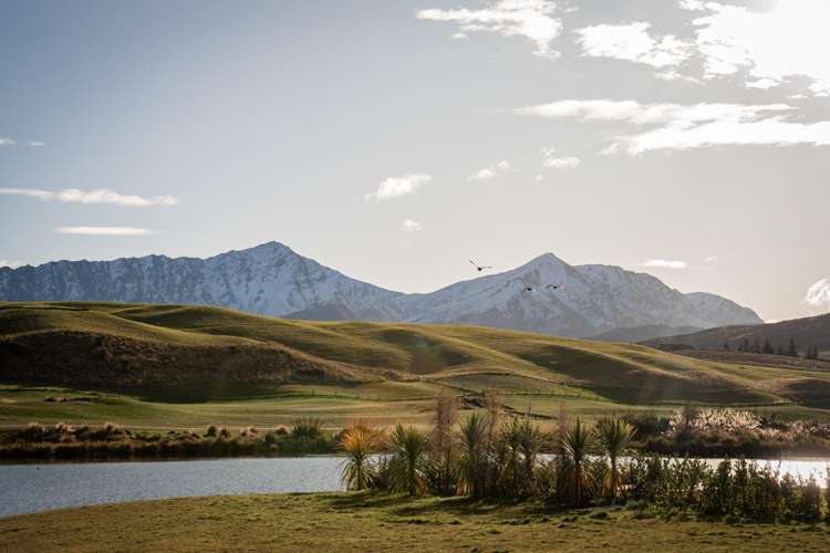 2 Taurus Lane Jacks Point_34