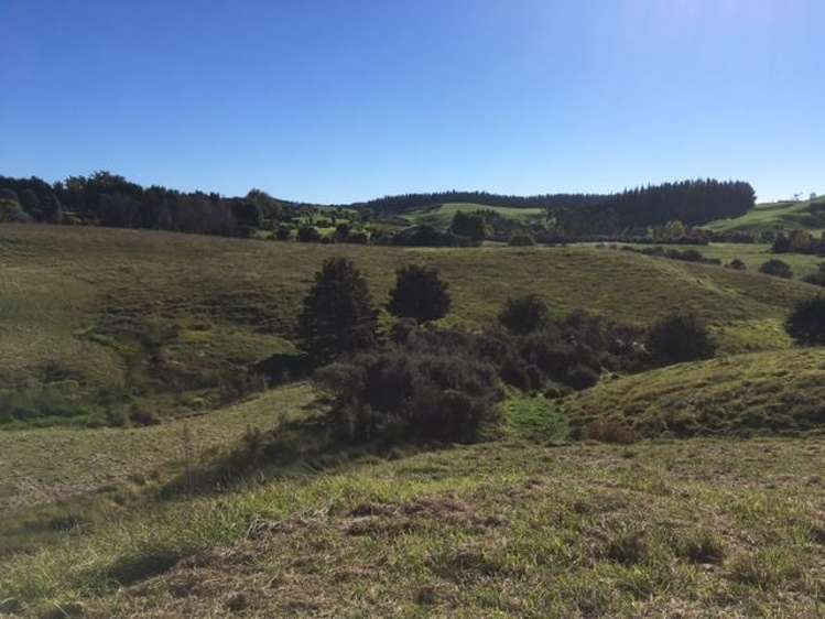 27 Redcliffs Road Kerikeri_9