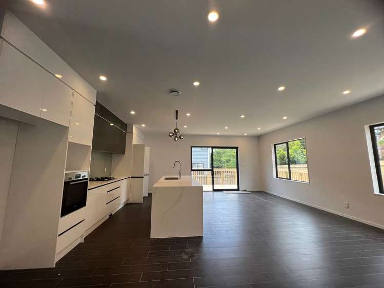 29a New Windsor Road Avondale_16