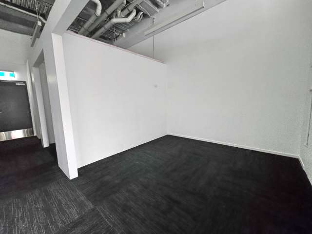 G04/428 Dominion Road Mt Eden_3