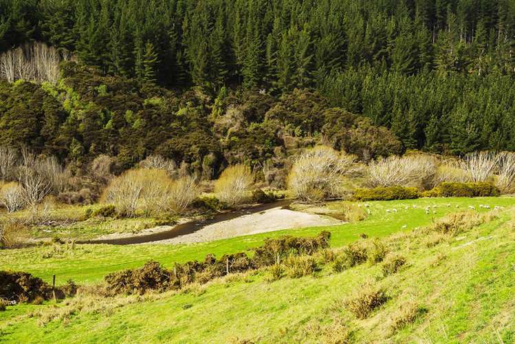 149 Silverstream Valley Road North Taieri_16