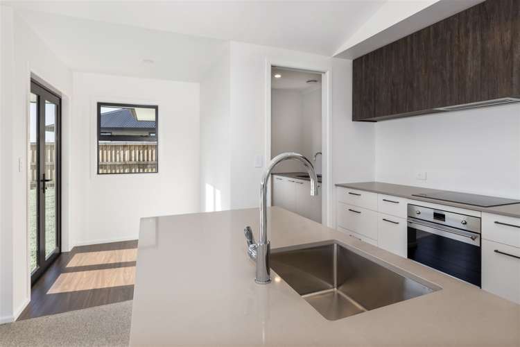 31 Nikau Drive Redwoodtown_7