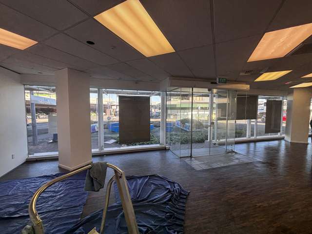 119 Queens Drive Hutt Central_3