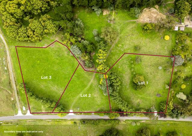 2420, 2430 and 2438 Kahuranaki Road Elsthorpe_2