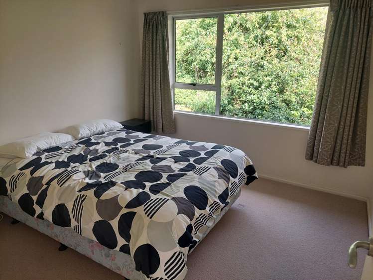 138 Tapui Homestead Road Tapui_10