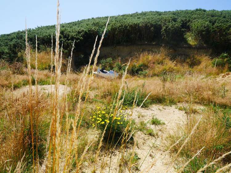 2705 Waikouaiti-Waitati Road Waikouaiti_20