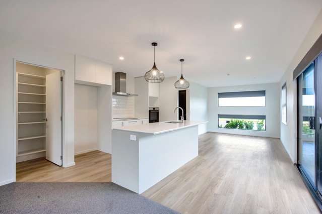 86 Monarch Drive Rolleston_4