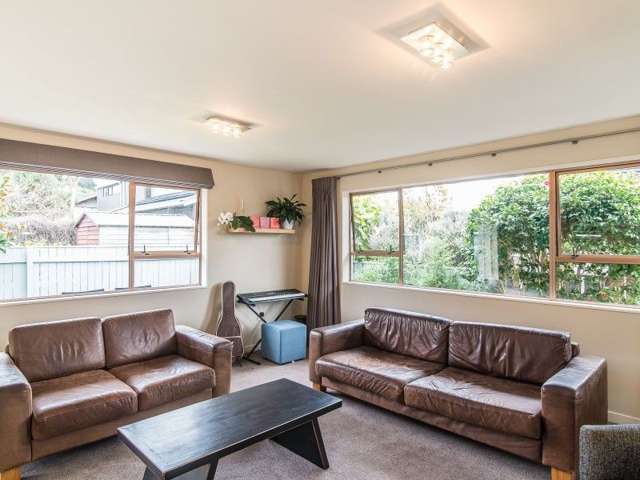 20a Mantell Street Seatoun_2