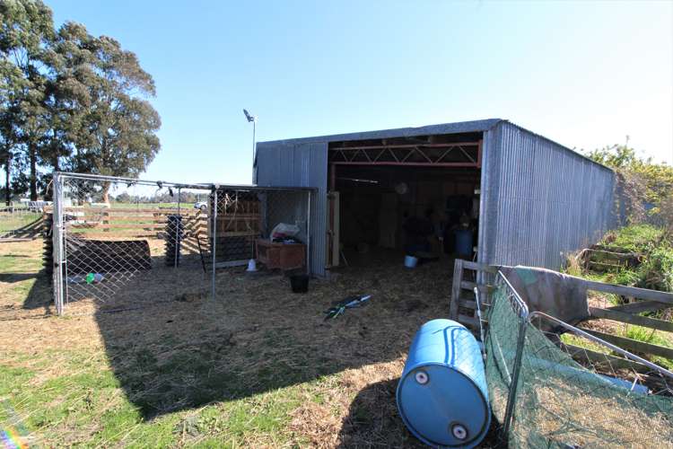 400 Pukeuri-Oamaru Road Pukeuri_26