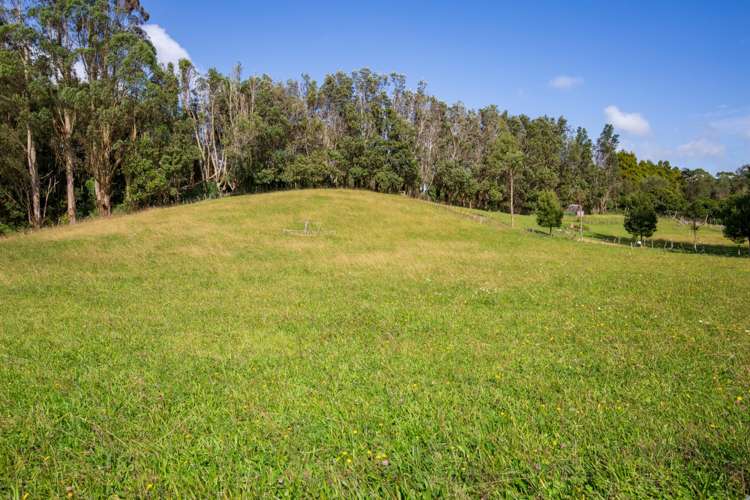 49 Brewster Road Pukekawa_7