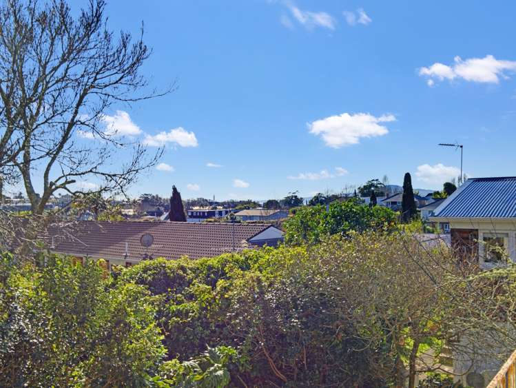 3/44 Whytehead Crescent Saint Heliers_6