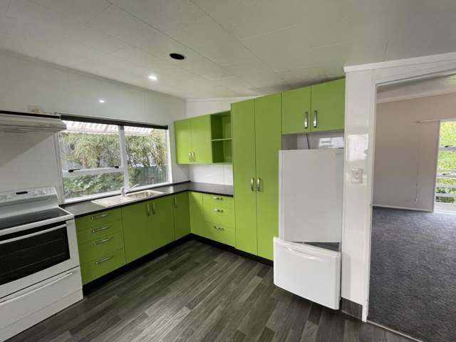 4A Willis Street Whanganui East_1