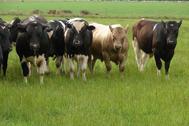 389 Mckenzie Road Winton Surrounds_16