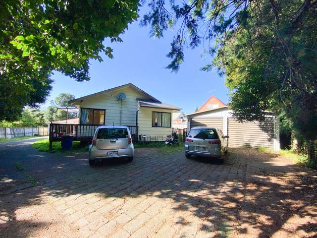 49 Rata Street New Lynn_1