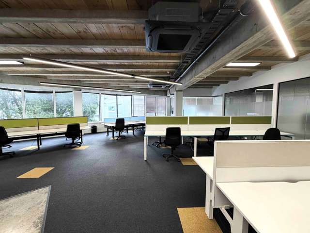 22 Dundonald Street Eden Terrace_3