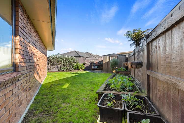 100 Twin Oak Avenue Papamoa_8