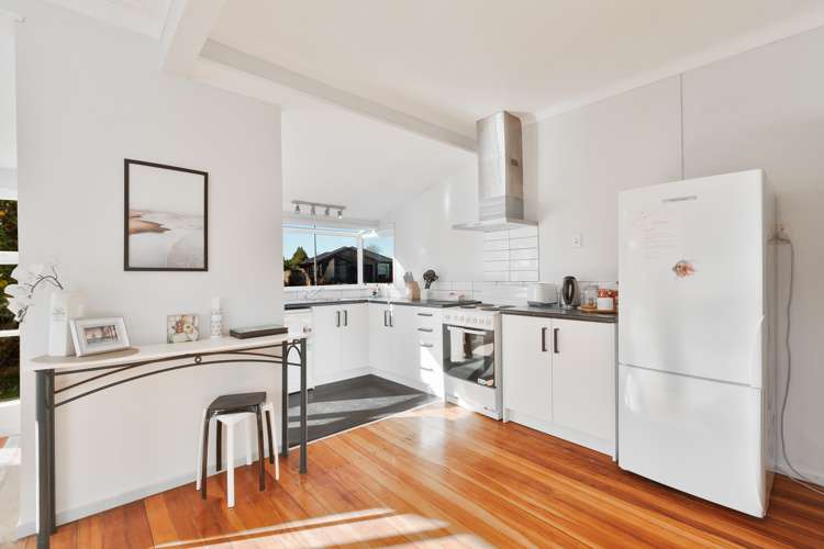 17 Mitcham Avenue_0
