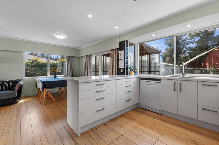 3 Horoeka Street Springfield_4