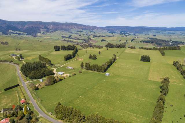 482 Table Flat Road Apiti_3