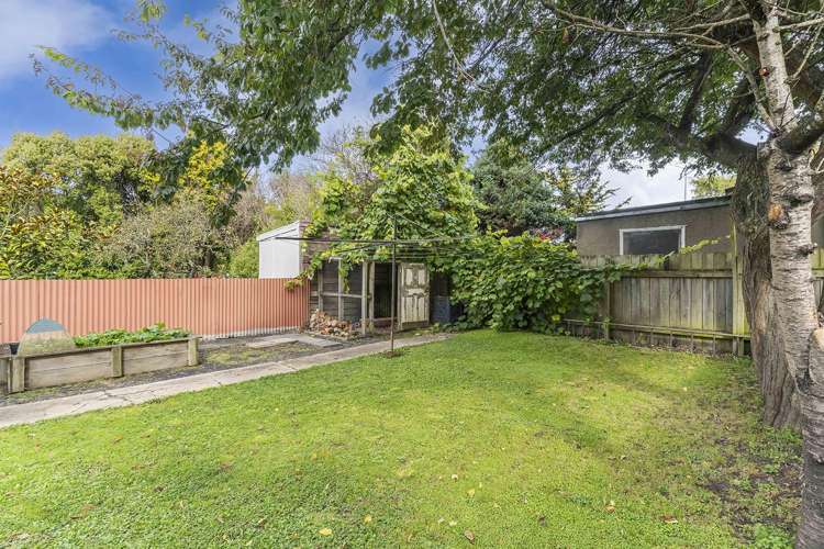 45 Selwyn Street North East Valley_18