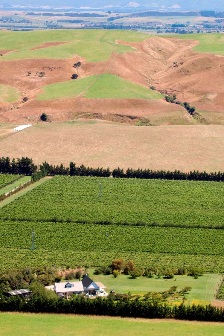 471b Te Muna Road Martinborough_1