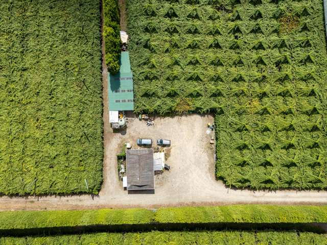 748B No 1 Road Te Puke_3